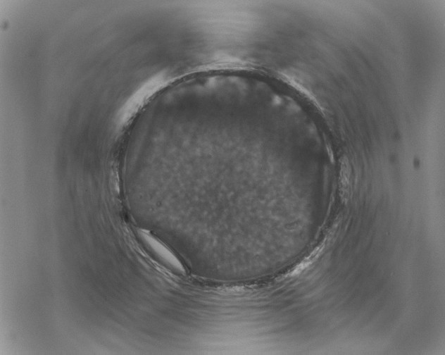 X0000069831455200606091434