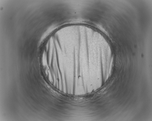 X0000069831456200606091434