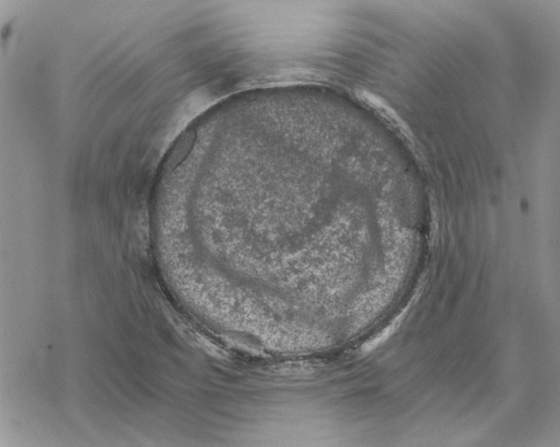 X0000069831457200606091434