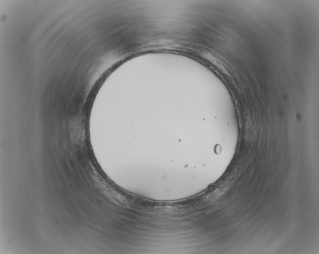 X0000069831458200606091434