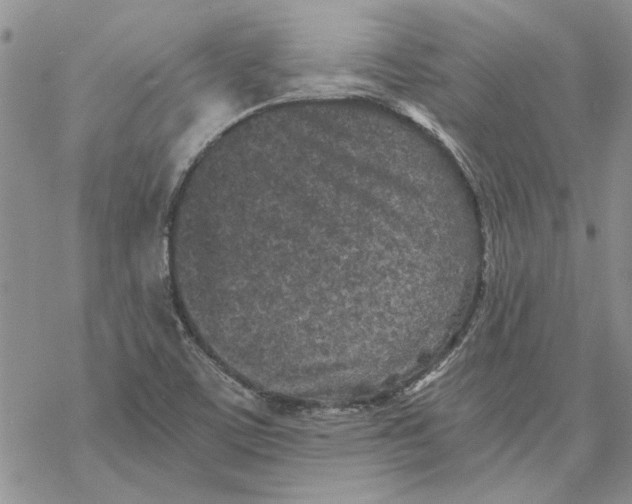 X0000069831459200606091434