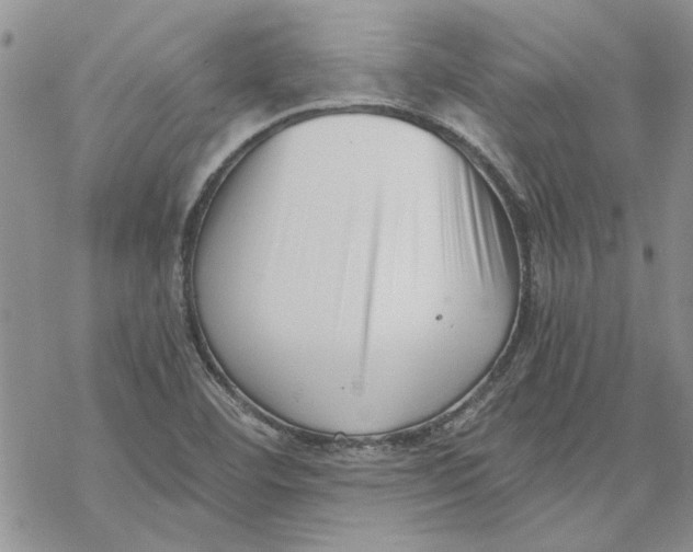 X0000069831460200606091434