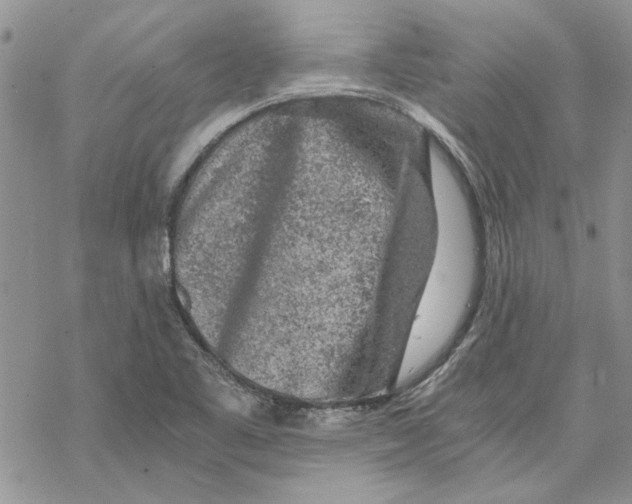 X0000069831461200606091434