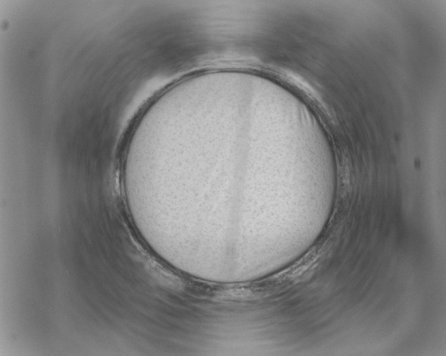 X0000069831462200606091434