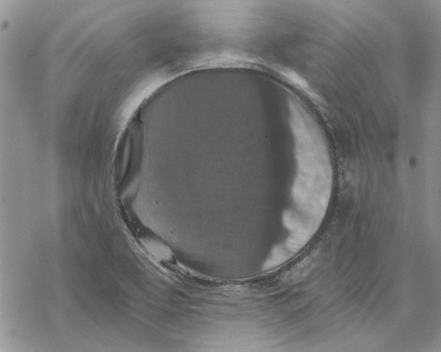 X0000069831463200606091434