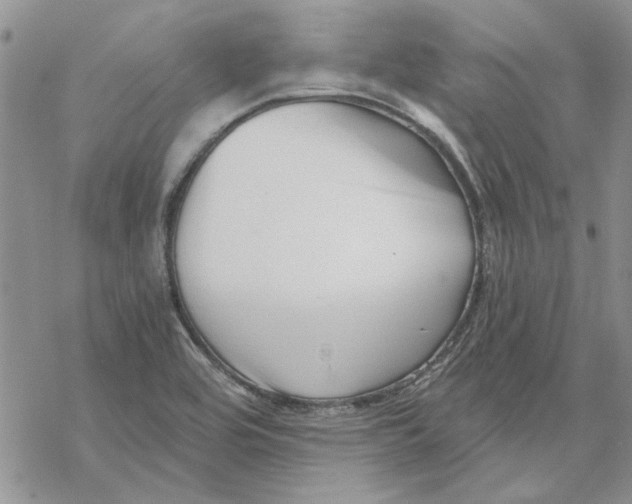 X0000069831464200606091434