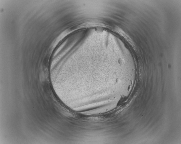 X0000069831465200606091434