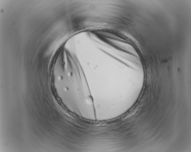 X0000069831467200606091433