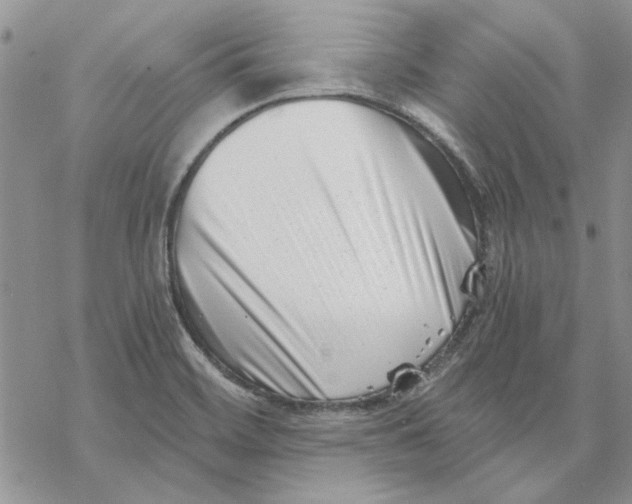 X0000069831468200606091433