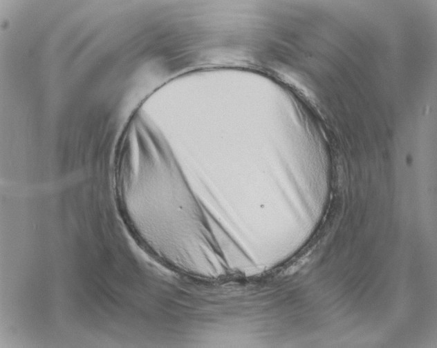 X0000069831471200606091433