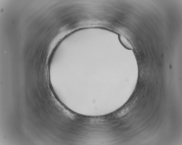 X0000069831472200606091433