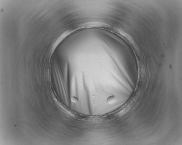 X0000069831473200606091433