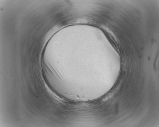 X0000069831475200606091433