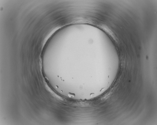 X0000069831476200606091433