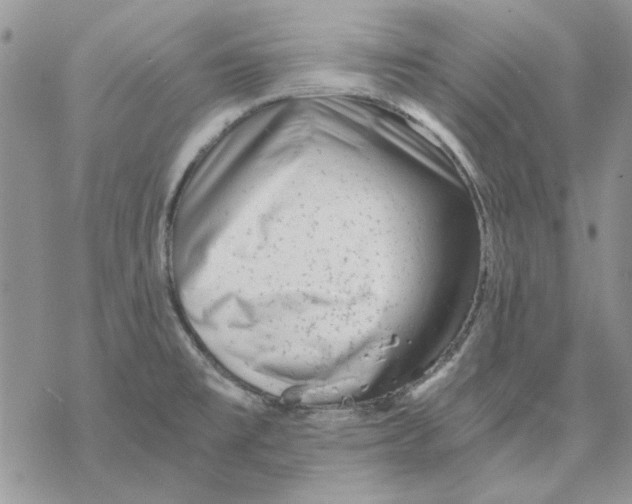 X0000069831477200606091433