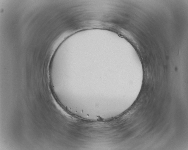 X0000069831479200606091433