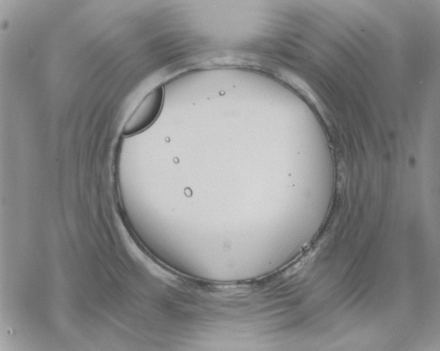 X0000069831483200606091433