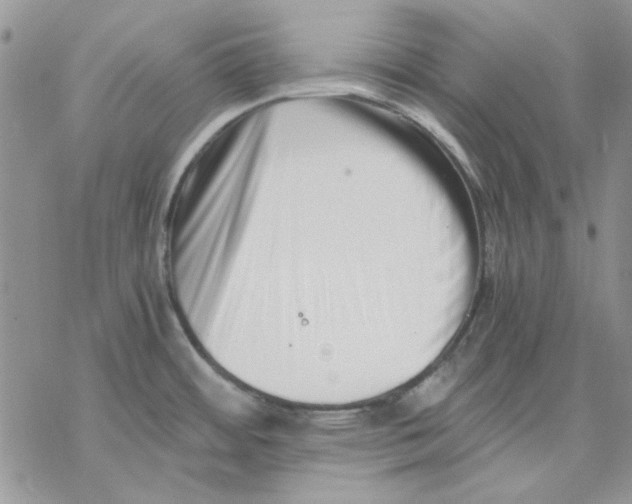 X0000069831484200606091433