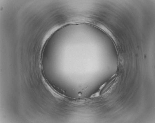 X0000069831485200606091433