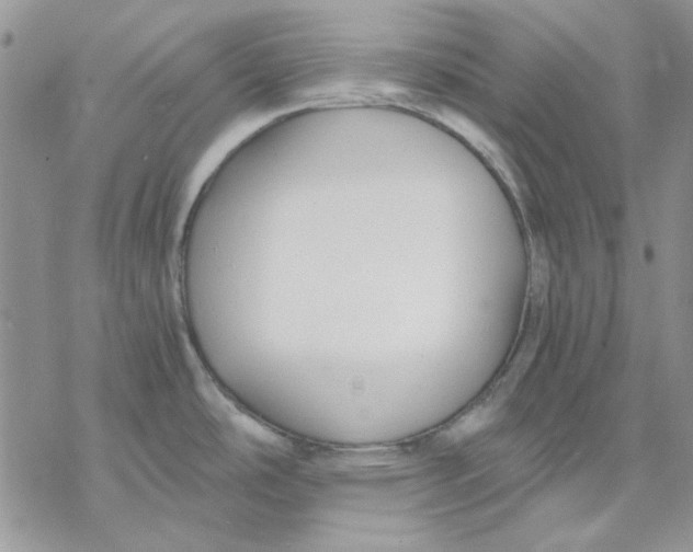 X0000069831486200606091433