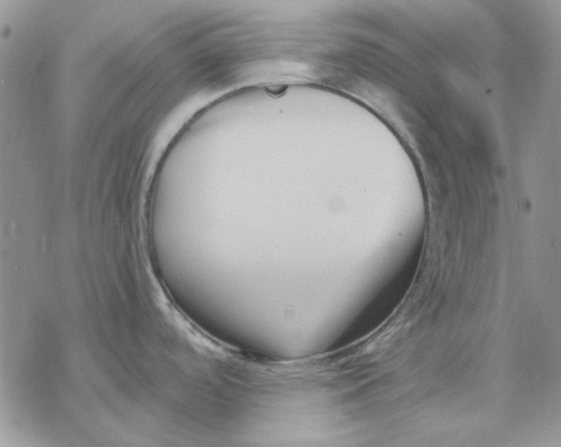 X0000069831488200606091433