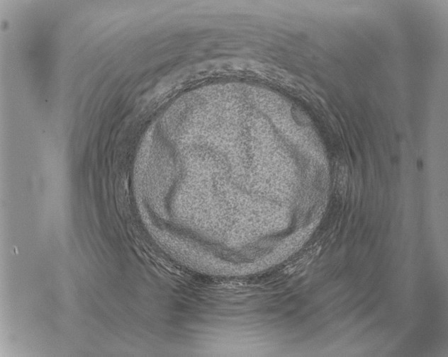 X0000069831489200606091432