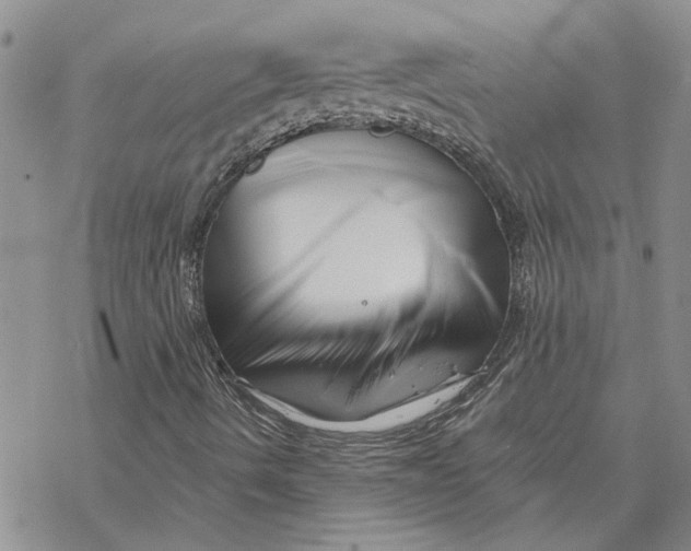 X0000069831490200606091432