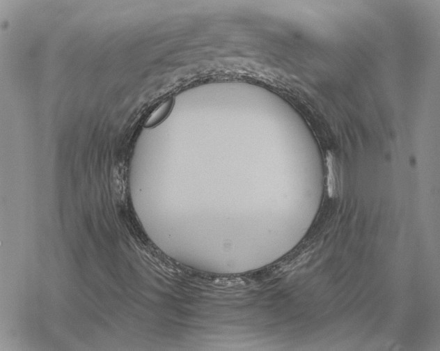 X0000069831491200606091432