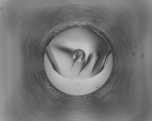 X0000069831492200606091432