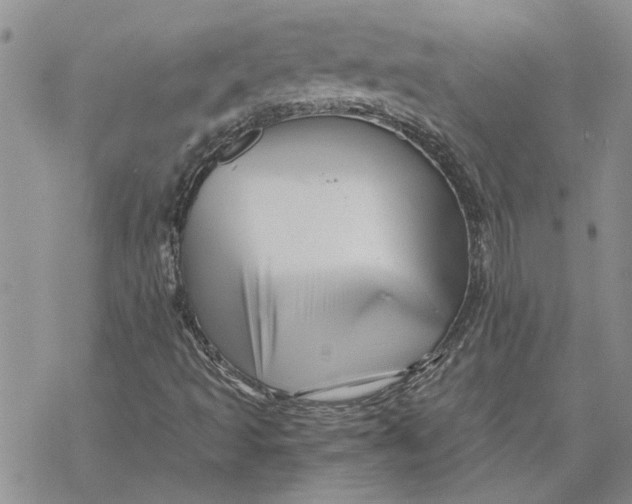 X0000069831493200606091432