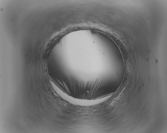 X0000069831494200606091432