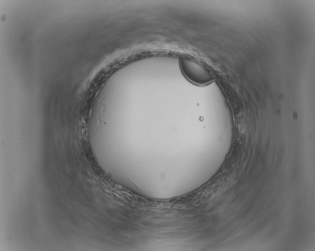 X0000069831495200606091432