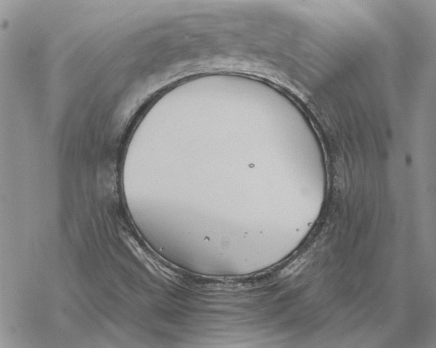 X0000069831499200606091433