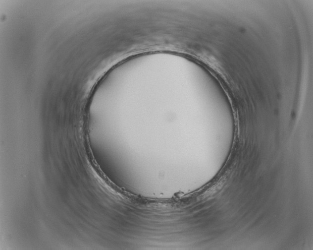 X0000069831500200606091433