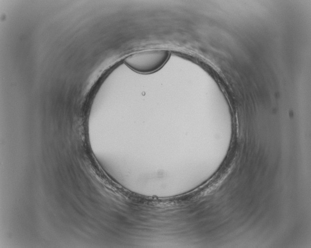 X0000069831501200606091433