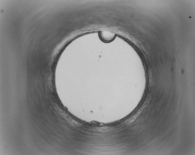 X0000069831502200606091433