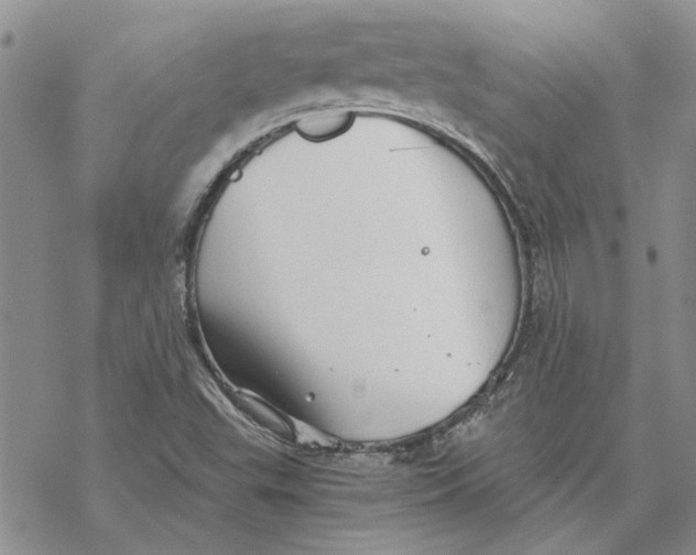 X0000069831503200606091433