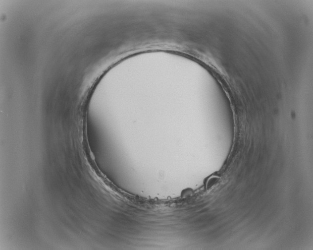 X0000069831504200606091433