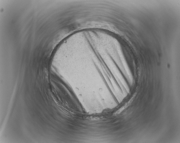 X0000069831505200606091433