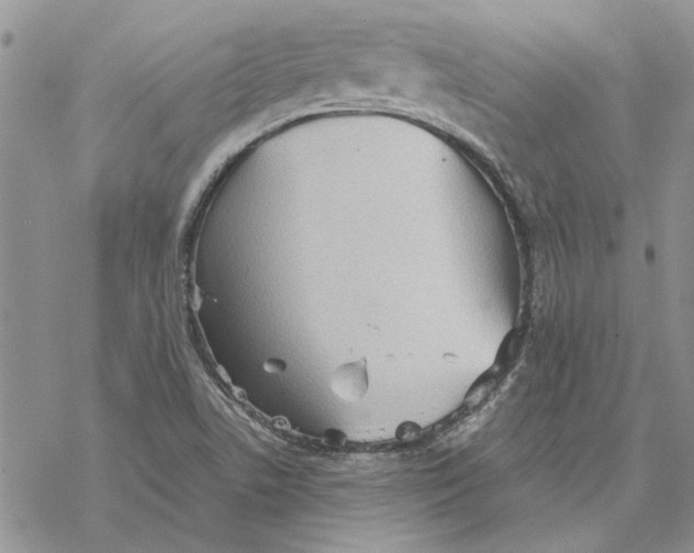 X0000069831506200606091433