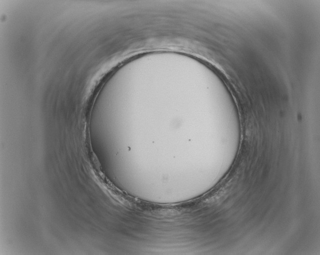 X0000069831507200606091433