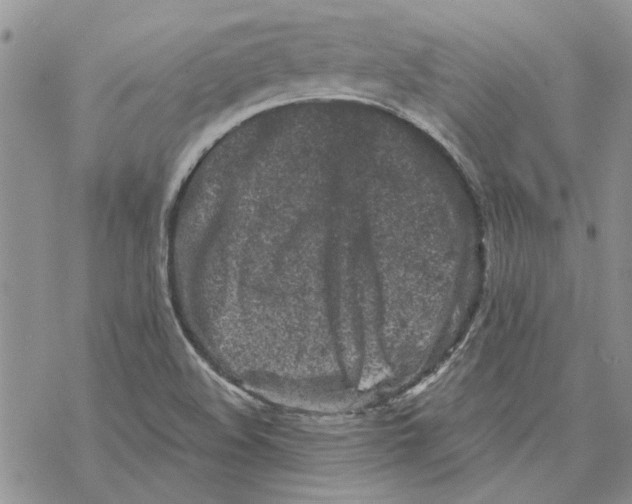 X0000069831508200606091433