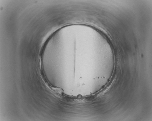 X0000069831509200606091433