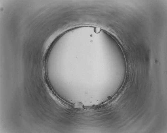 X0000069831511200606091433