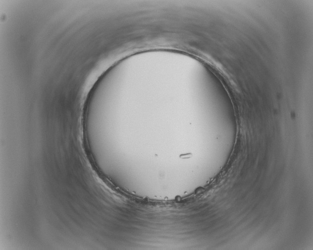 X0000069831512200606091433