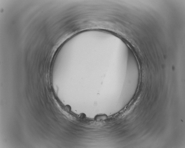 X0000069831513200606091433