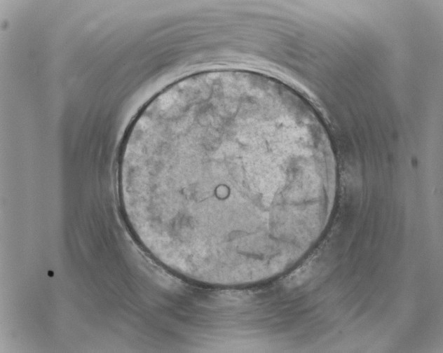 X0000069831514200606091433