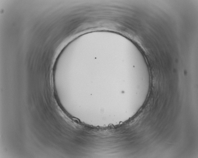 X0000069831516200606091433