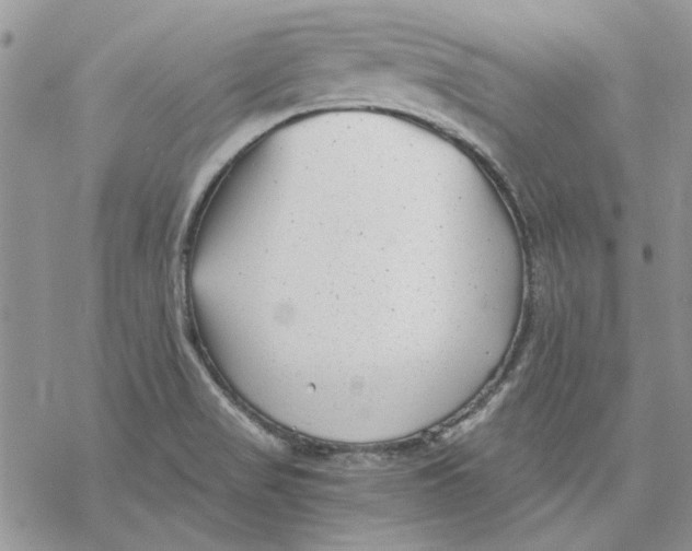 X0000069831517200606091433