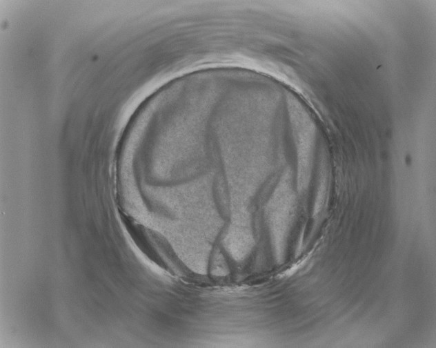 X0000069831519200606091433